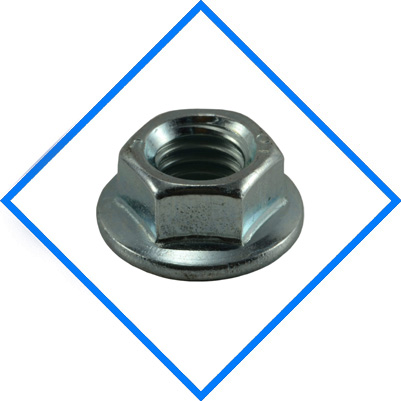 Incoloy 800/800H/800HT Hex Nuts